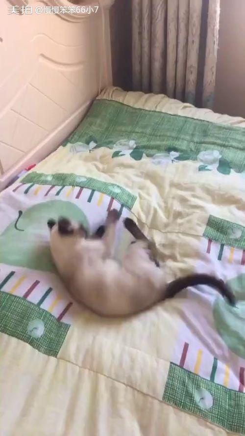 床小视频在线观看,私密空间里的情感共鸣 第3张 床小视频在线观看,私密空间里的情感共鸣 第3张